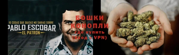 дмт Елизово