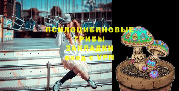 метадон Ельня