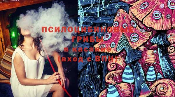 СК Елабуга