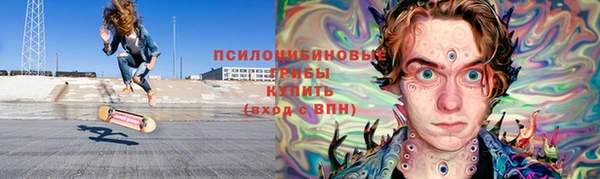 метадон Ельня