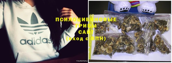 СК Елабуга