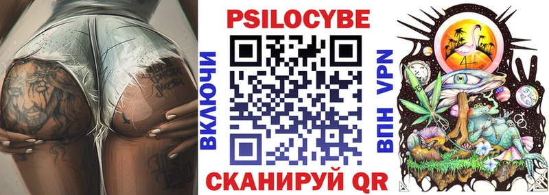 Купить закладки  Чадан  Галлюциногенные грибы ЛСД 